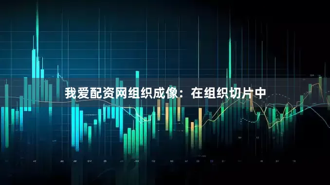 我爱配资网组织成像：在组织切片中