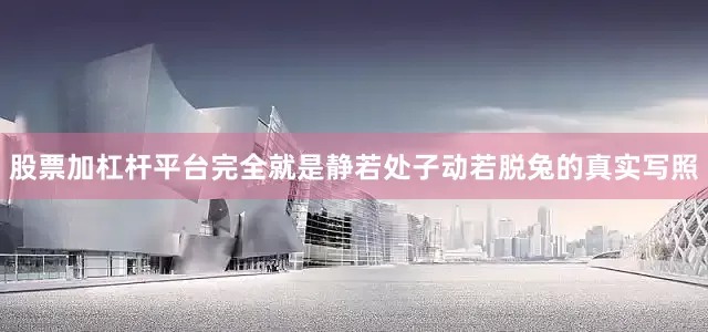 股票加杠杆平台完全就是静若处子动若脱兔的真实写照