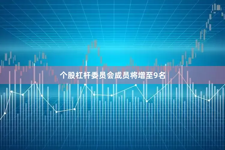 个股杠杆委员会成员将增至9名