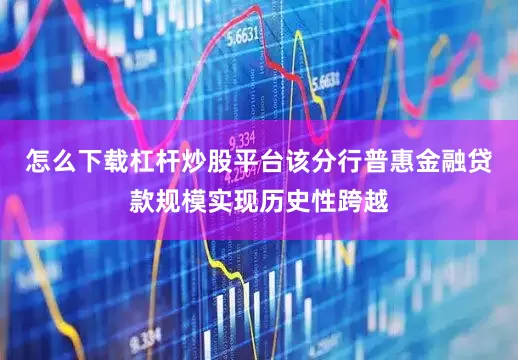 怎么下载杠杆炒股平台该分行普惠金融贷款规模实现历史性跨越